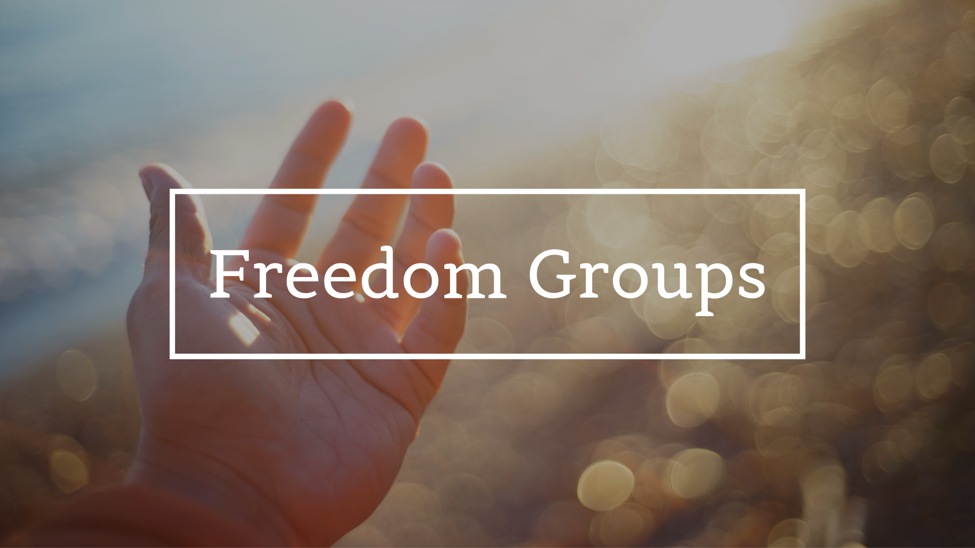 Freedom Groups